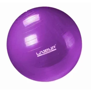 Bola Suíça Roxa - 55CM LVP